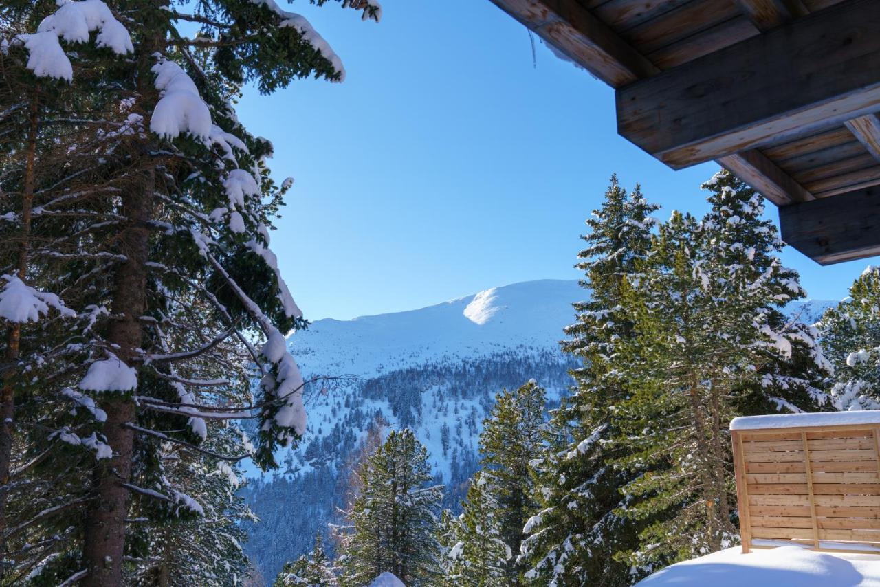 Luxalps- Turrach Alm Chalets Nr 1-4 Gruensee- Sauna- Skifahren- Wandern- Natur Turracher Hohe Zewnętrze zdjęcie